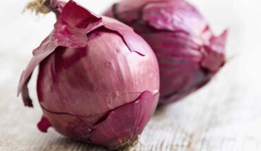 Don’t Toss Those Onion Skins—They’re Actually More Nutritious Than You Think