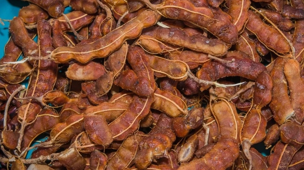 Imli Found to Have Secret Health Benefits No One Knew About