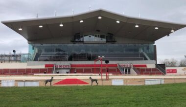 Fourteen dogs killed in first eight months of this year at Lifford Stadium