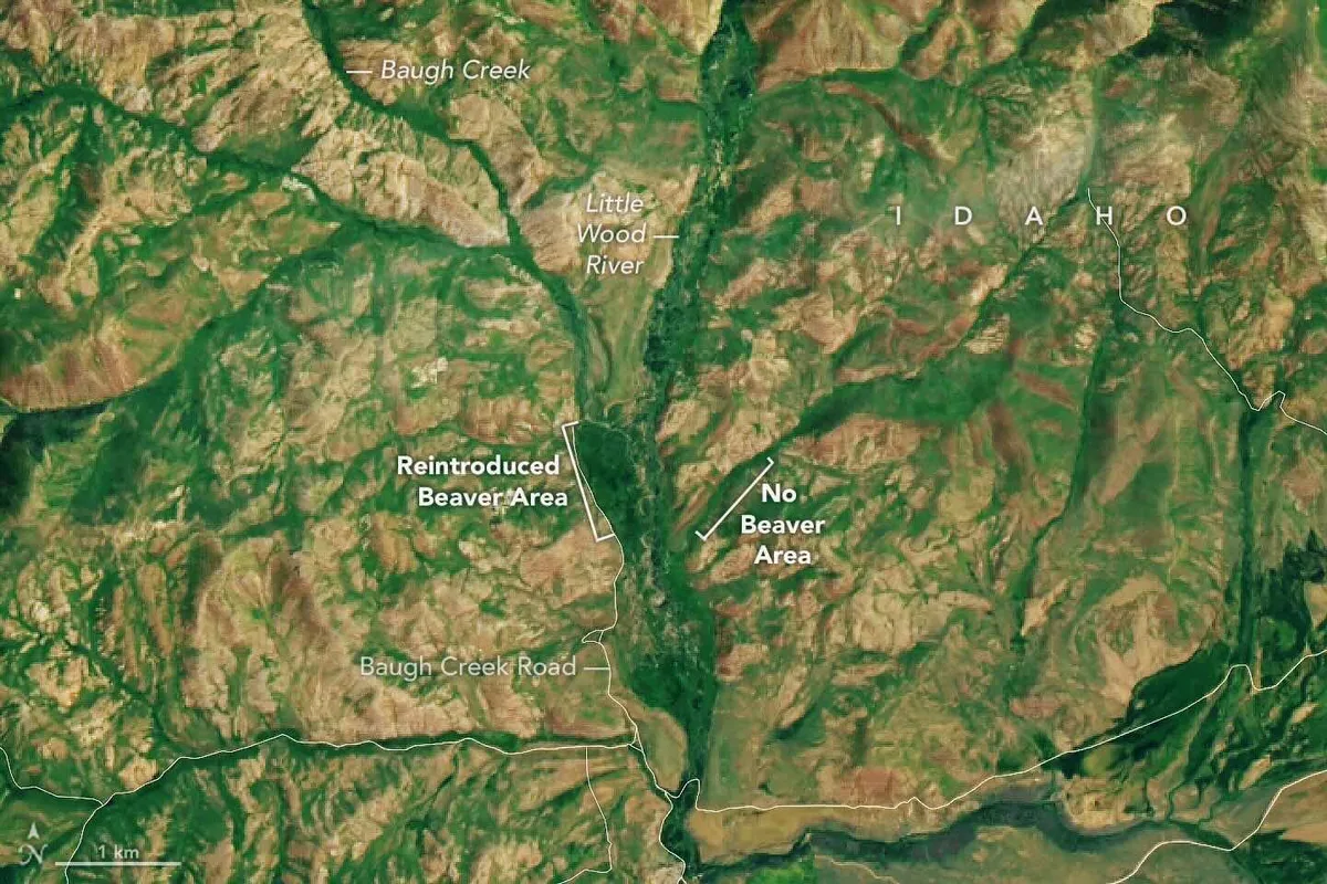 NASA Earth Observatory Baugh Creek