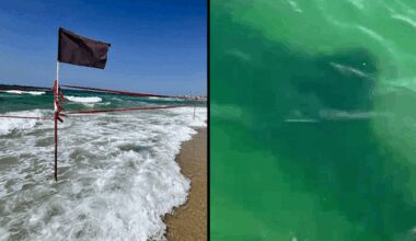 Shark spotted on Atlit beach, swimmers evacuated