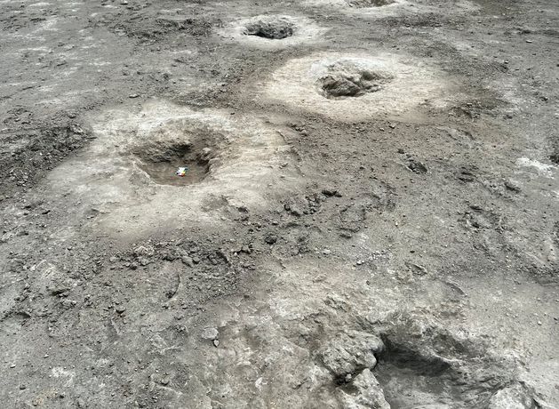 Dinosaur footprints from 166 million years ago discovered in English quarry