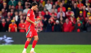 Rat interrupts play during Belgium’s victory over Wales in Cardiff