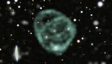 odd radio circles discovery