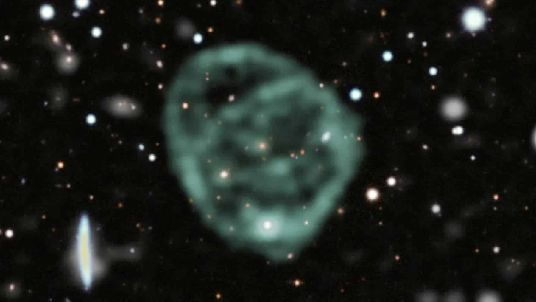 odd radio circles discovery