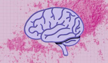 What Happens to Your Brain When You Take Creatine