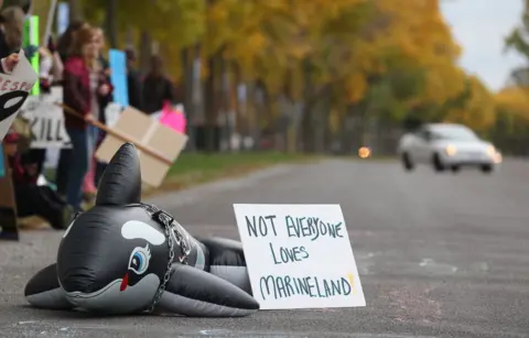 AFP via Getty Images Plastic whale in middle of the road with sign that reads "Not everyone loves marineland"