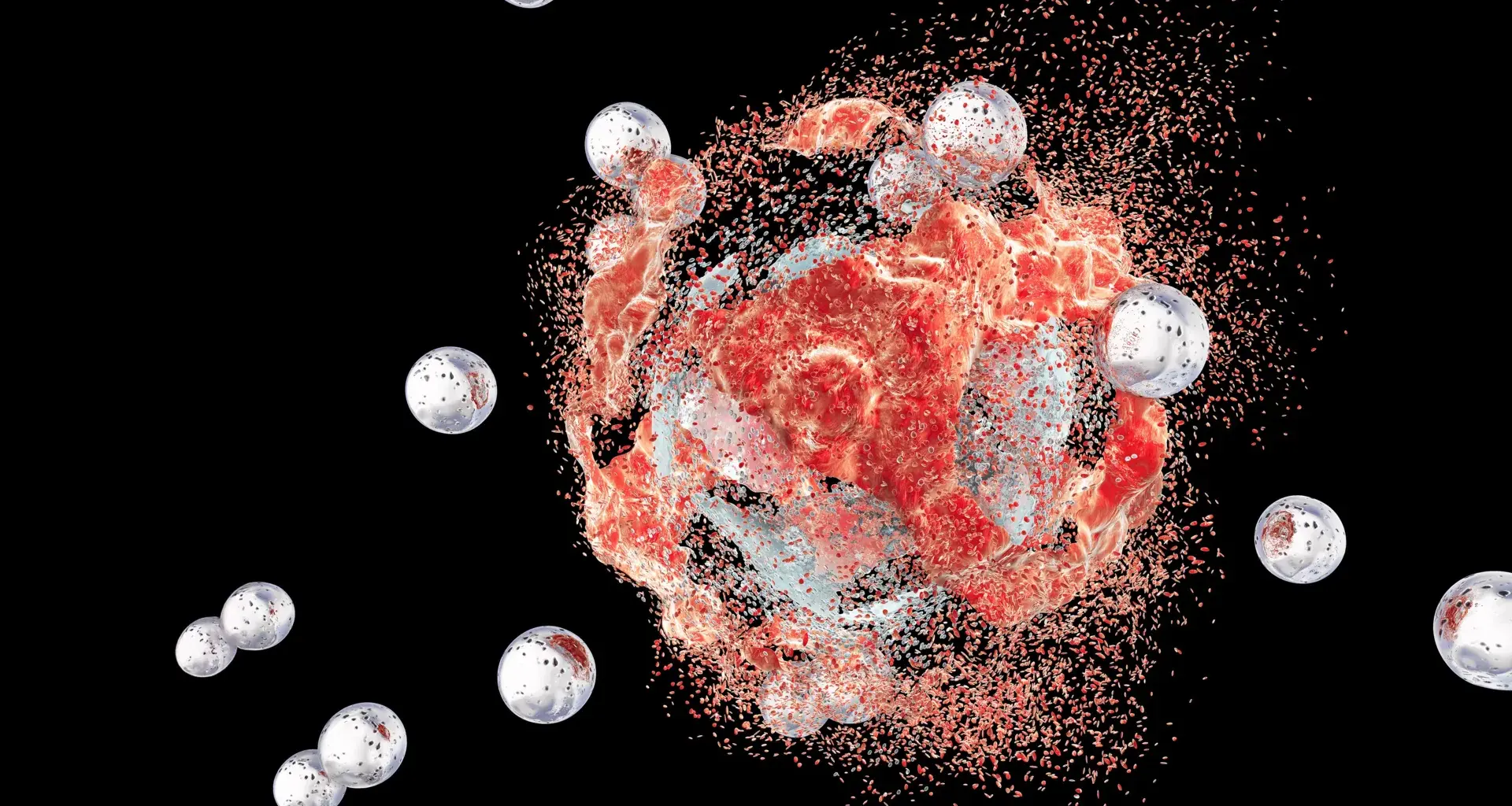 Bacteria hidden inside tumors could help beat cancer