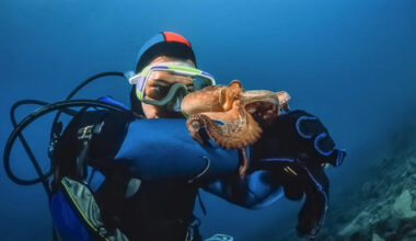 Yahoo lifestyle home