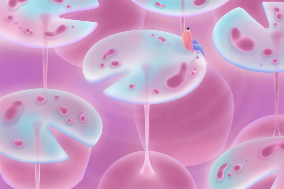 Dry January for the New York Times