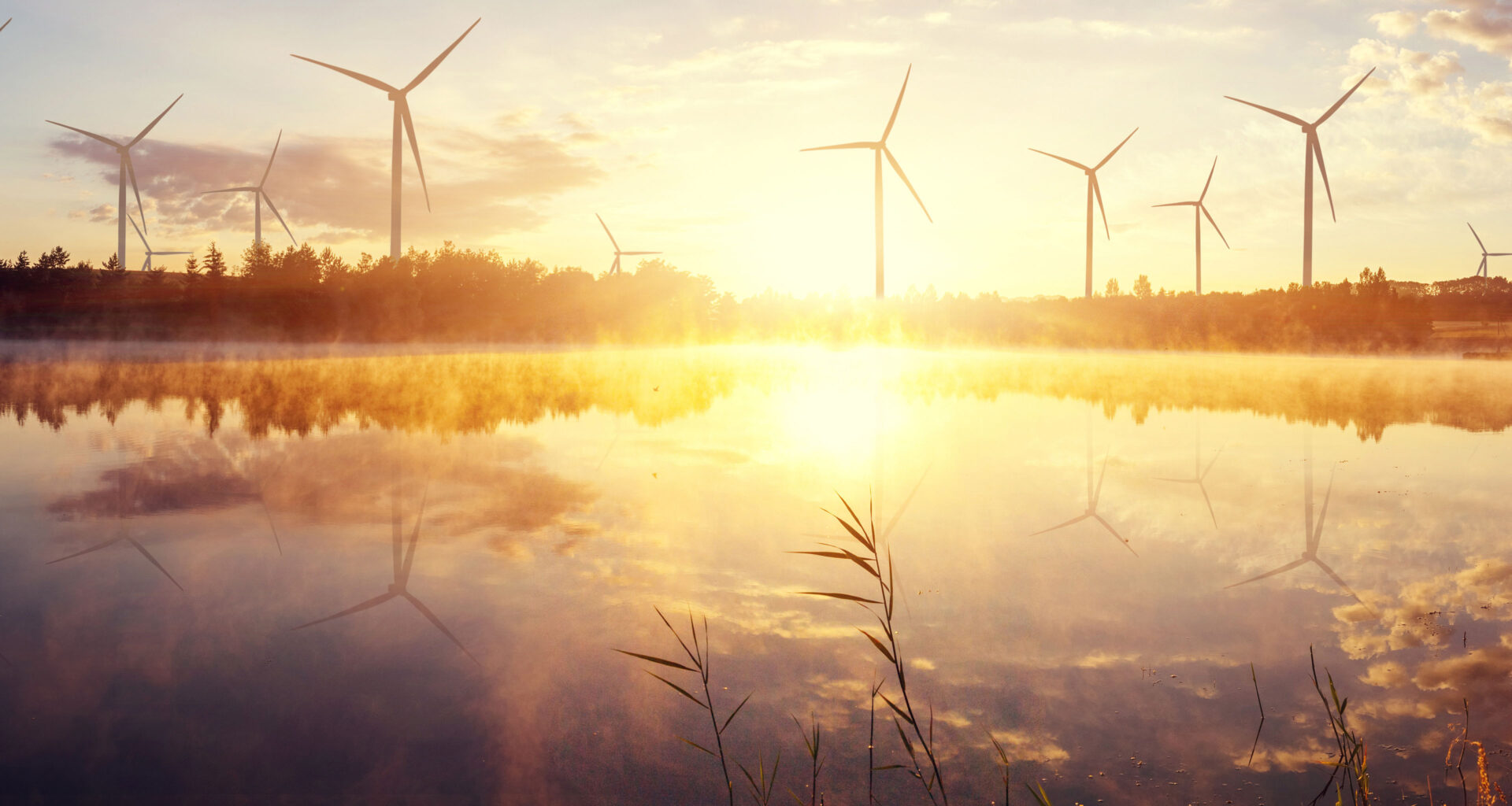 EY releases: Pulse of the MedTech Report 2025 | EY