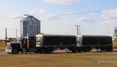 EDC boosts support as Canadian agri-food companies target global markets