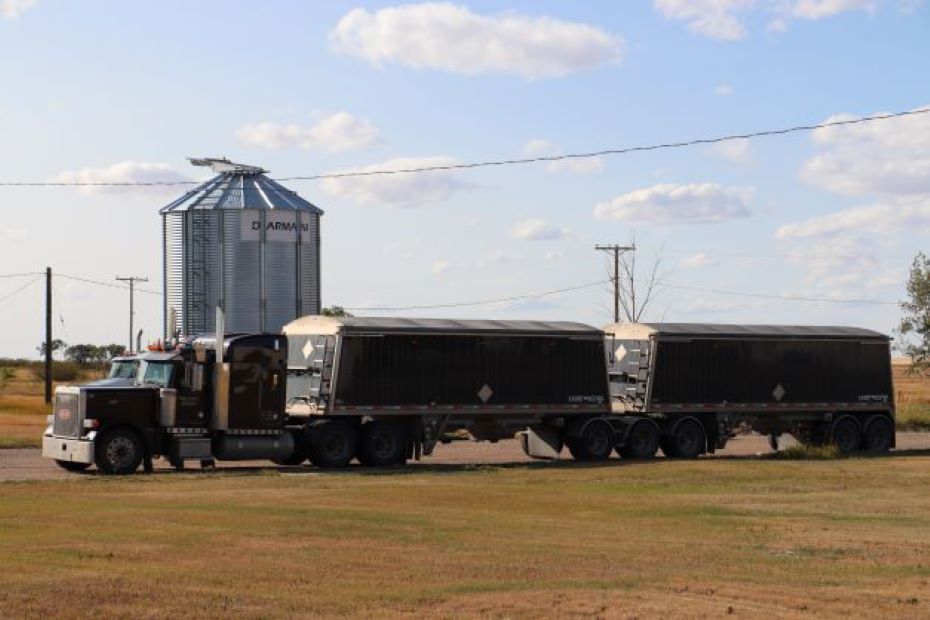 EDC boosts support as Canadian agri-food companies target global markets