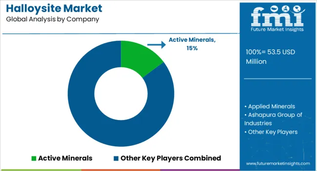 Halloysite Market Analysis By Company