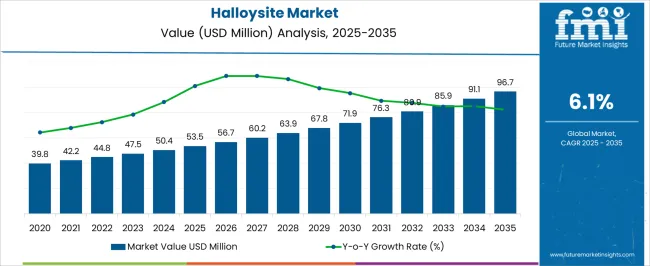 Halloysite Market Market Value Analysis