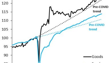 Puzzles in the Global Economy