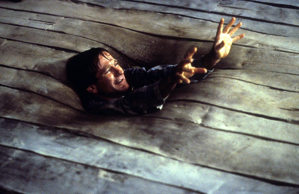 robin williams, jumanji