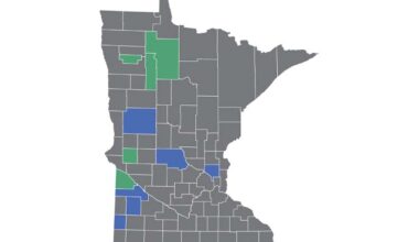 How Do MN’s Counties Rank by Broadband Access?