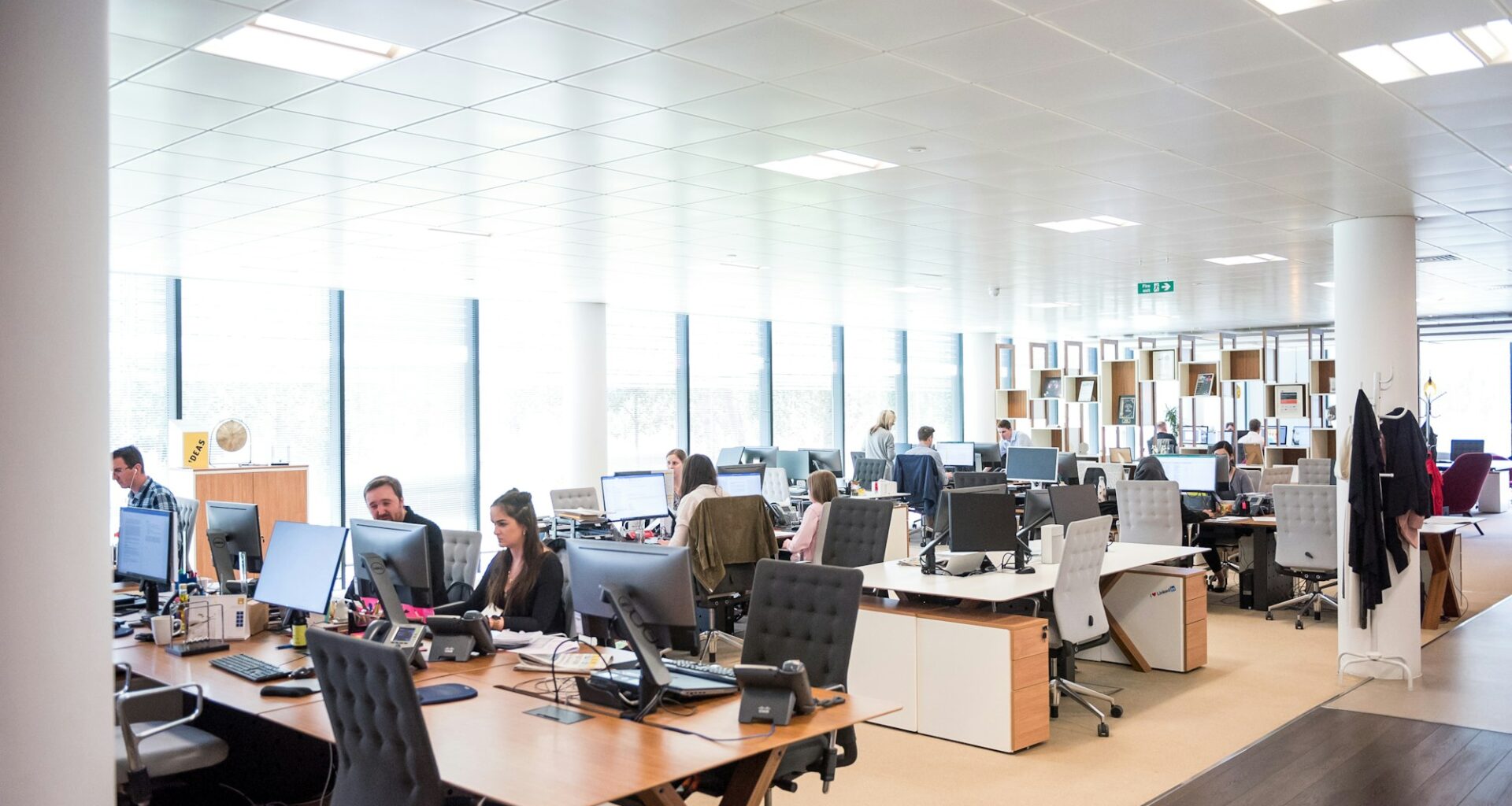 Just Another AI (Mania?) Day