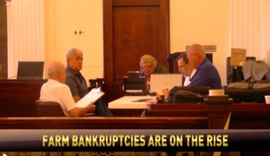 Losing the Chinese market is a contributing factor to the rise of farm bankruptcies filed this year