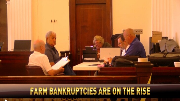 Losing the Chinese market is a contributing factor to the rise of farm bankruptcies filed this year