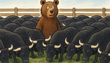 The strange equilibrium of the US job market