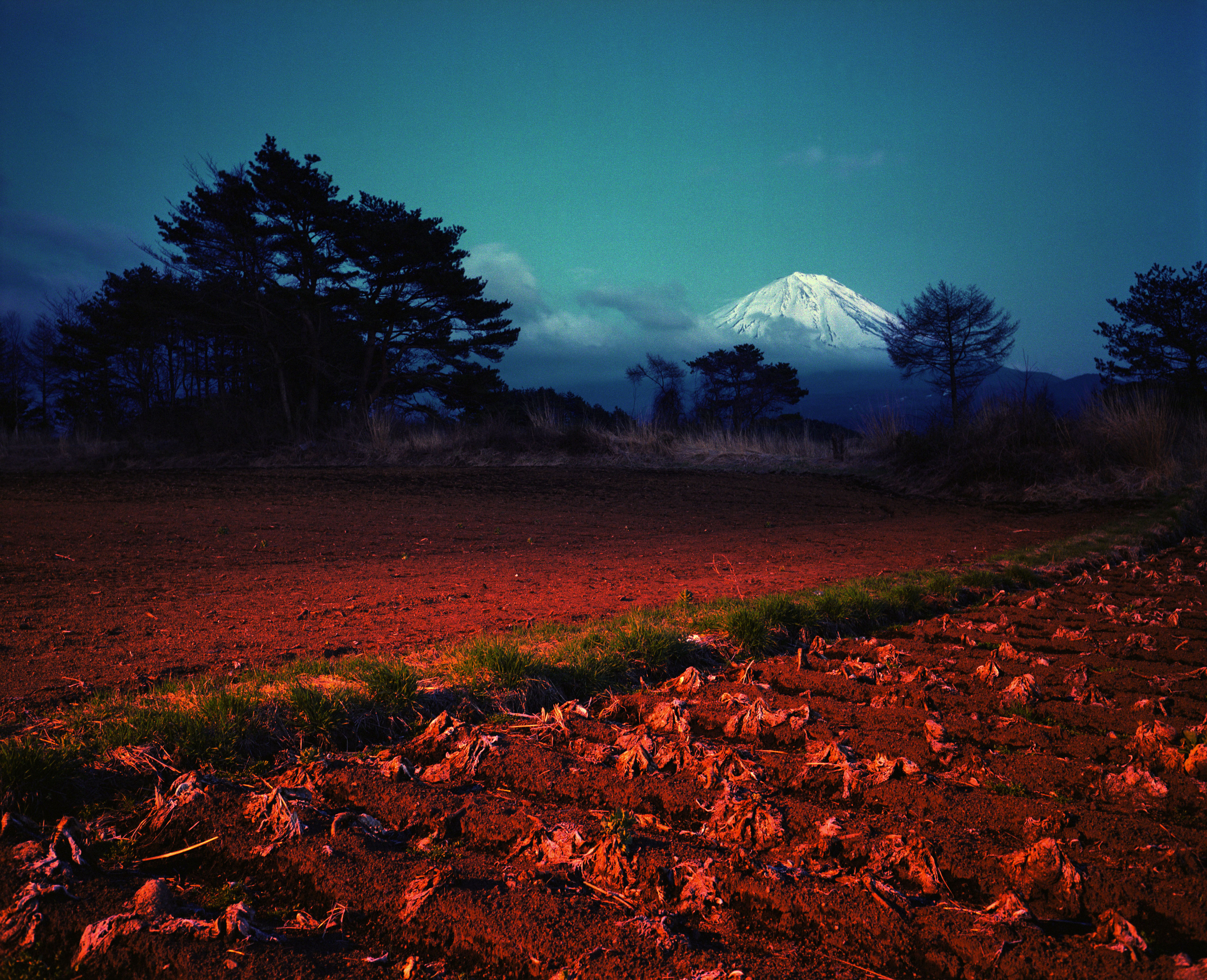 Fields near Kawaguchiko with Mount Fuji in the background.