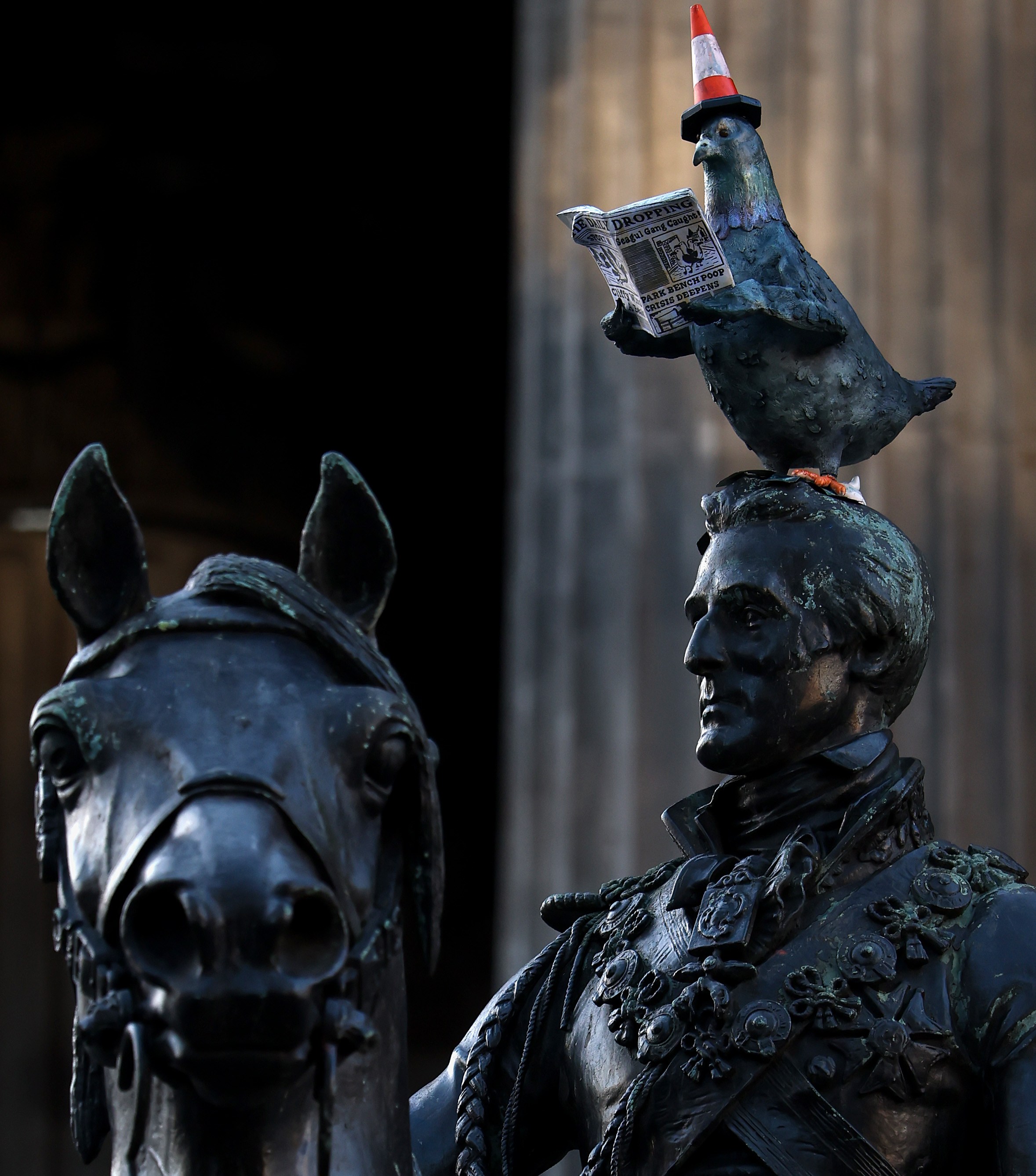 A pigeon sculpture wearing a traffic cone on its head and reading a newspaper sits atop the Duke of Wellington statue.