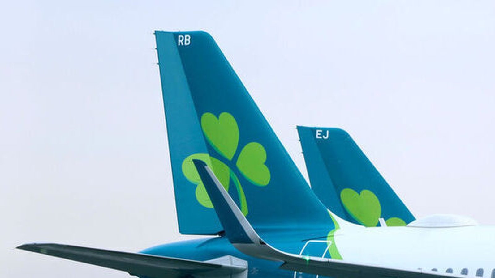 Aer Lingus pilots to hold no confidence vote in executive