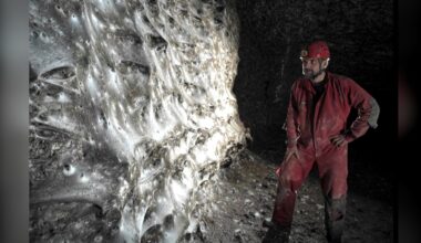 Web home to more than 110,000 spiders discovered