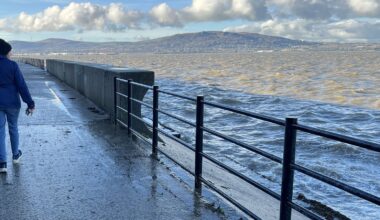 Watchdog to investigate sewage discharge in Belfast Lough