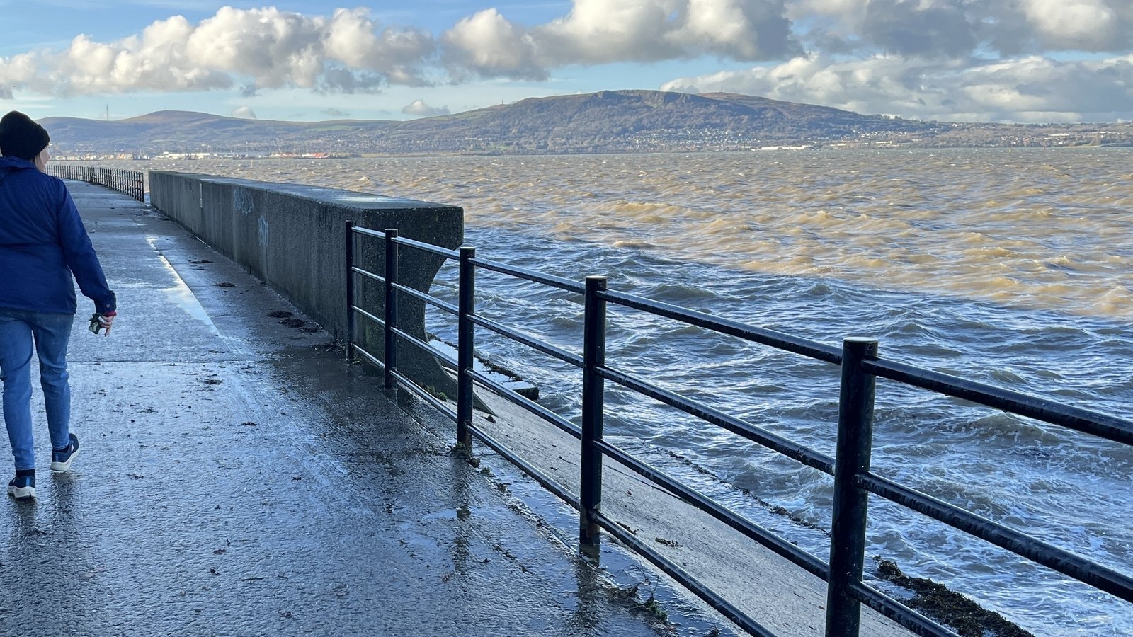 Watchdog to investigate sewage discharge in Belfast Lough