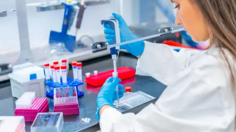 AFP via Getty Images A biologist pipetting cells in a laboratory