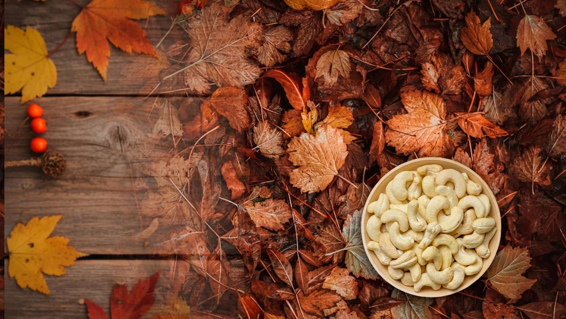 Cashew nut, nutrition