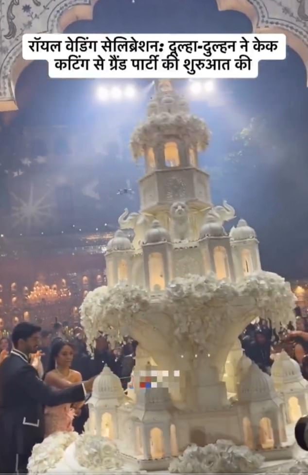 The couple's cake-cutting ceremony featured an all-white multi-tiered cake that appeared to resemble a mini palace, and was even sculpted with elephants, lions and cascading flowers