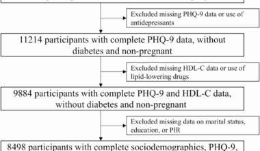 Interactive effects of high-density lipoprotein cholesterol and insulin resistance on depression: results from the NHANES (2005–2018) | Lipids in Health and Disease
