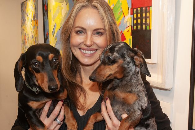 Wexford-born artist delights with new exhibition at Trimmers Lane