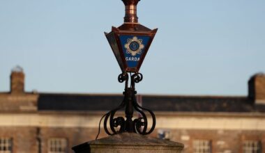 Man (20s) due in court after gardaí arrest motorist ‘armed with suspected firearm on motorway’