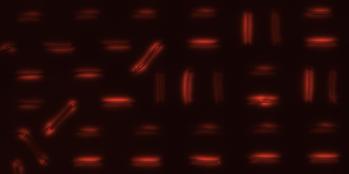 Controllable Topological Vortex Lattices