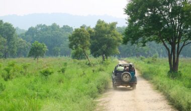 Jim Corbett guard says 'deer meat is tasty', offers tobacco to shocked tourists. What happened next