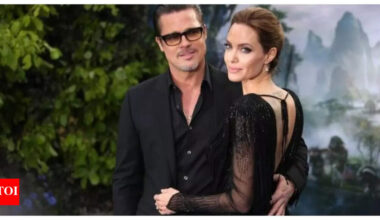 Brad Pitt SUES ex-wife Angelina Jolie for USD 35 Million in French winery dispute; to battle it out in public hearing |