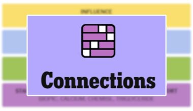 Saturday, November 8 Clues And Answers (#881)