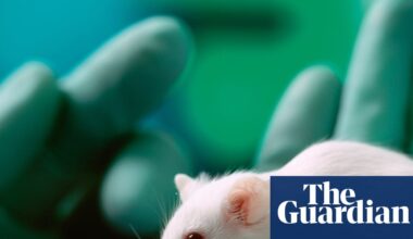 UK minister unveils plan to cut animal testing through greater use of AI | Medical research