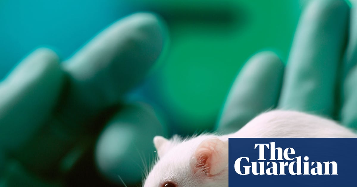 UK minister unveils plan to cut animal testing through greater use of AI | Medical research