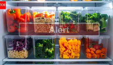 Alert! Silent plastic chemicals could be putting your heart at serious risk and harming millions; scientists warn |