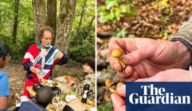 ‘Nature feeds us more than it floods us’: Asheville after-school program teaches kids to forage | Environment