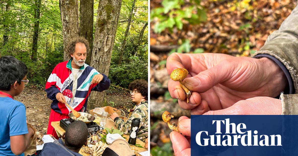 ‘Nature feeds us more than it floods us’: Asheville after-school program teaches kids to forage | Environment