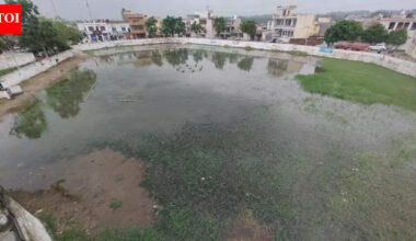 62.5% of Punjab’s groundwater contaminated with uranium: Report | Chandigarh News