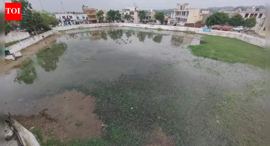 62.5% of Punjab’s groundwater contaminated with uranium: Report | Chandigarh News