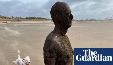 ‘When I saw what I captured I felt a Muybridge-like joy’: Roger Tooth’s best phone picture | Photography